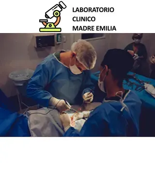 Perfil Preoperatorio